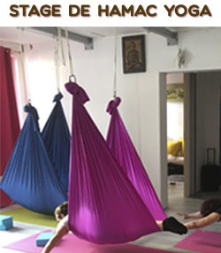 stage de hamac yoga