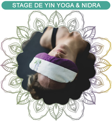 Stage de Yin Yoga & Yoga Nidra